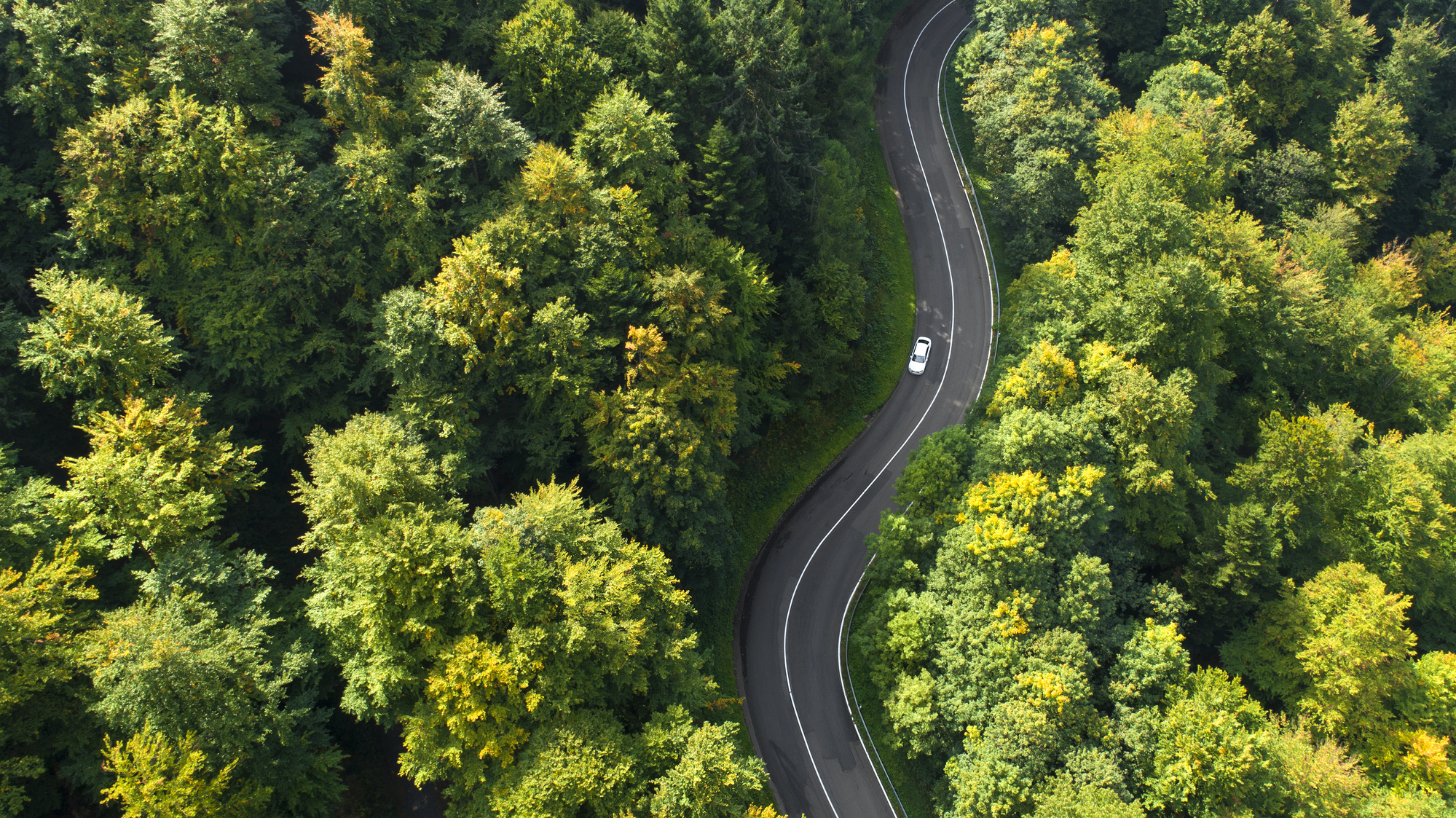 a winding road through a green forest with a single car visible