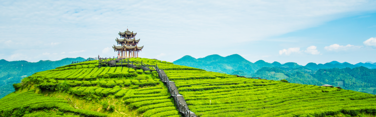 Solitary pagoda on top of mound in lush green field