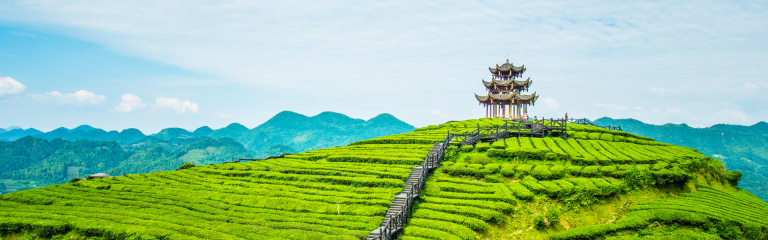 Solitary pagoda on top of mound in lush green field