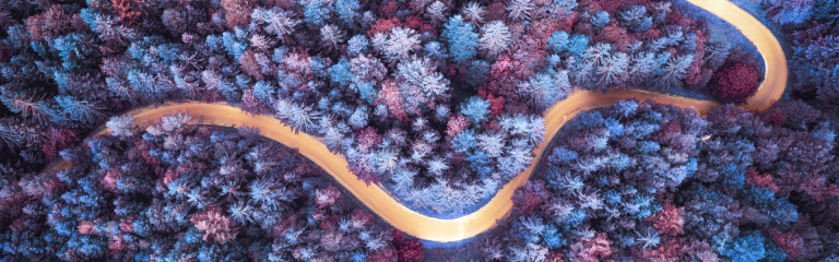 a view from above of a road winding through a forest with purple colouring