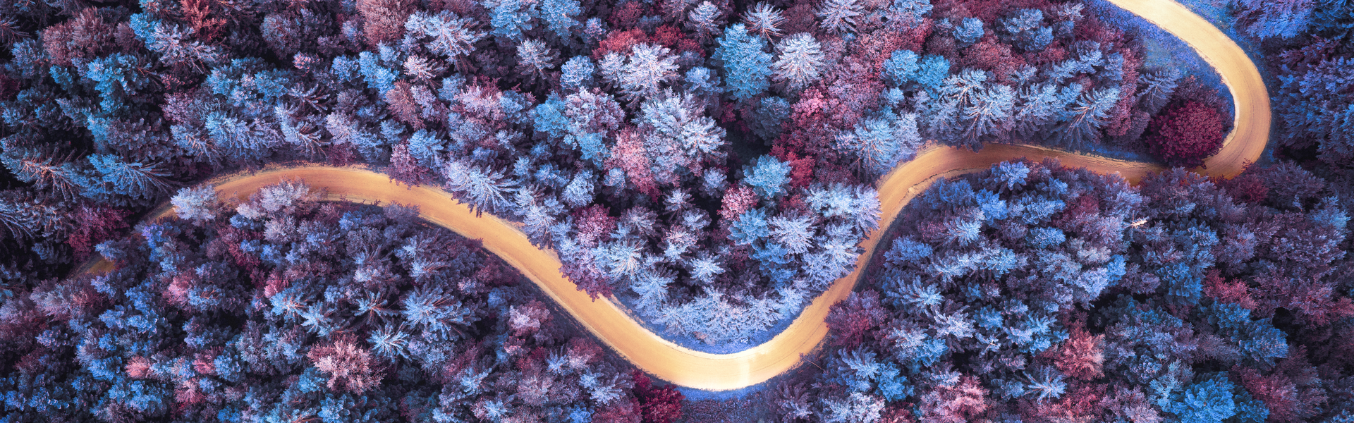 a view from above of a road winding through a forest with purple colouring