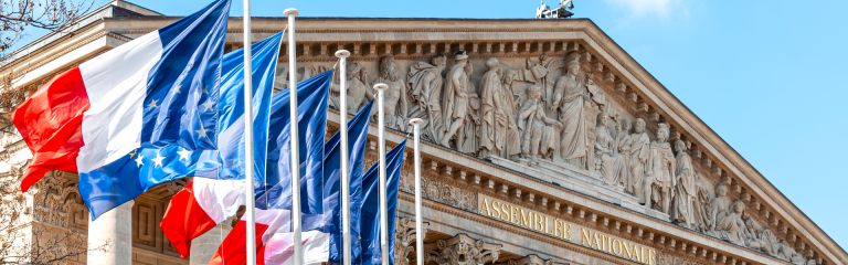 the front of France's National Assembly building. There are 5 flags in the foreground.
