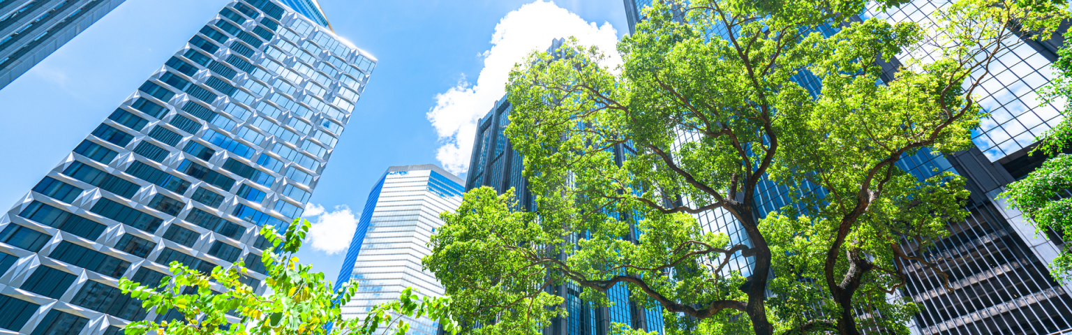 a view from below of skyscrapers with 2 leafy trees in the foreground