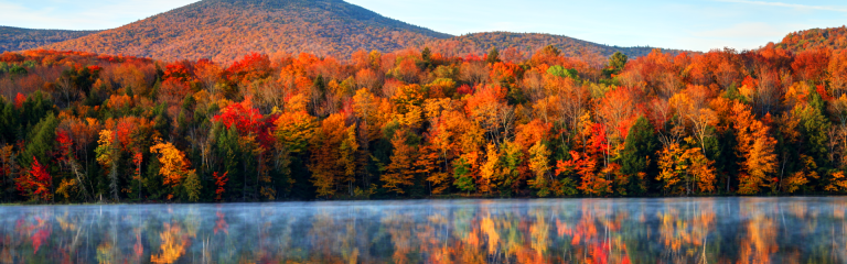 A view of a lake shoreline which is surrounded by a forest in autumn colours