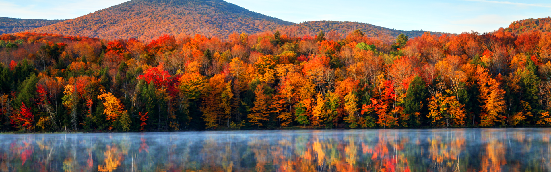 A view of a lake shoreline which is surrounded by a forest in autumn colours