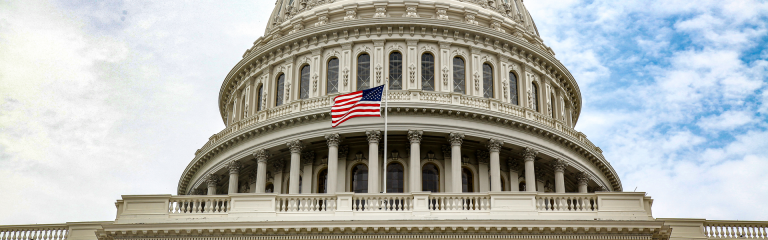 A view of the US capitol building with the US flag in the foreground