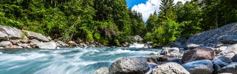 rushing stream in forest rushing stream in forest