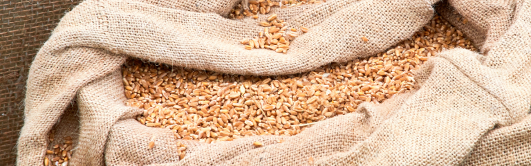 canvas-bag-with-wheat-seeds