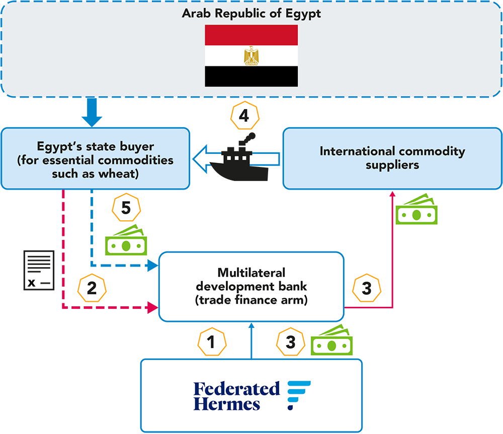 A flow chart showing how wheat is distributed in Egypt 