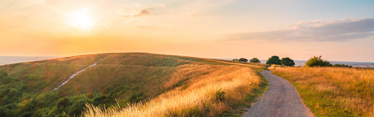 winding path through golden grass at sunset on dunstable downs