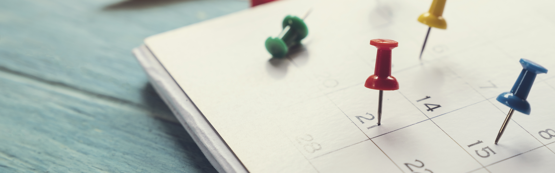 Close up of calendar with push pins