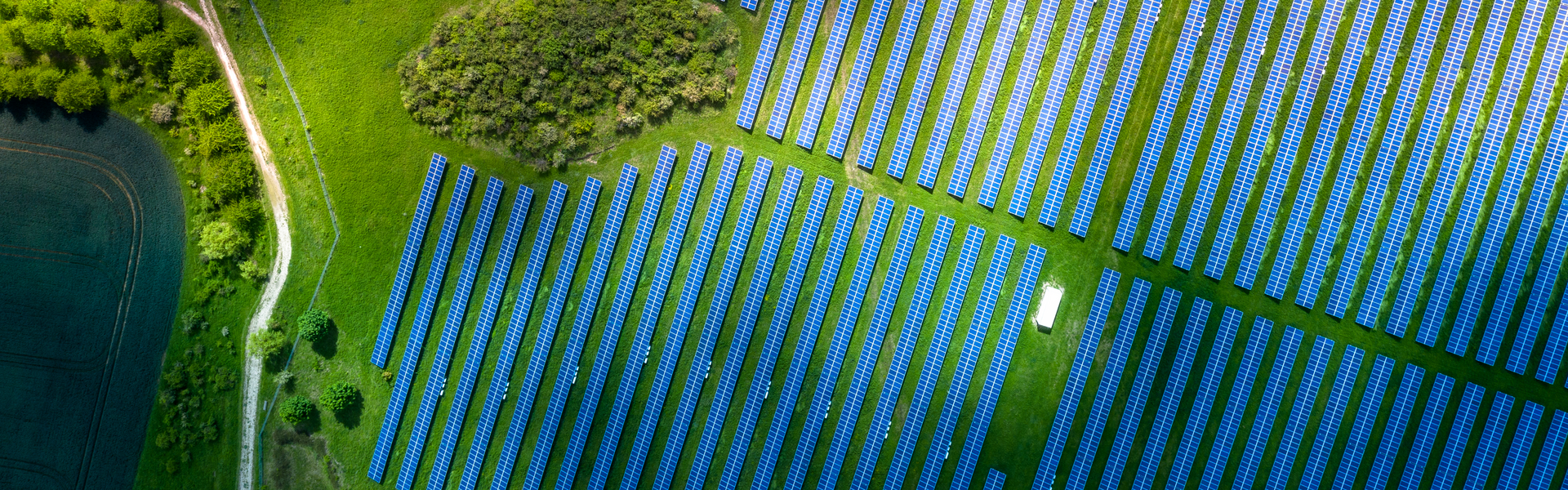 aerial view looking down on solar panels in field banner image