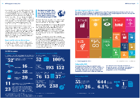 SDG Engagement